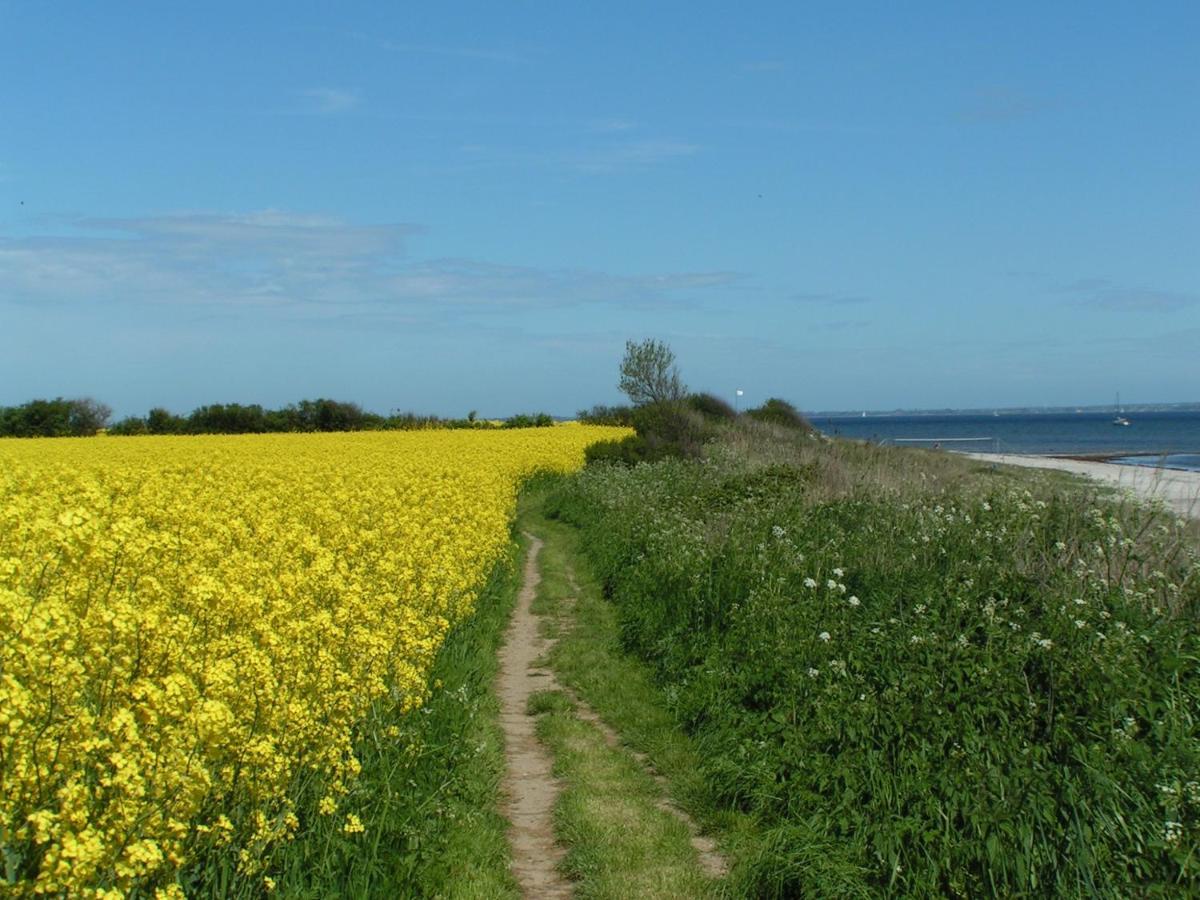 Landurlaub Regenholz Lägenhet Kronsgaard Exteriör bild
